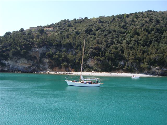 DSC02264